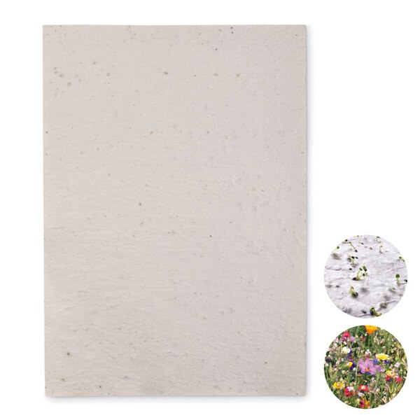 ASIDI A4 zaadpapier wilde bloemen - GiftRetail MO6914