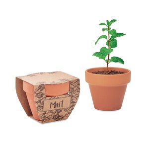 MINT POT Terracotta Kruidenpot met Muntzaden en Grondtablet - GiftRetail MO2218