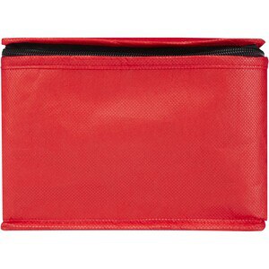 Spectrum 6-can recycled non-woven cooler bag 4L - EgotierPro 130082