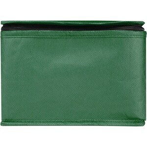 Spectrum 6-can recycled non-woven cooler bag 4L - EgotierPro 130082