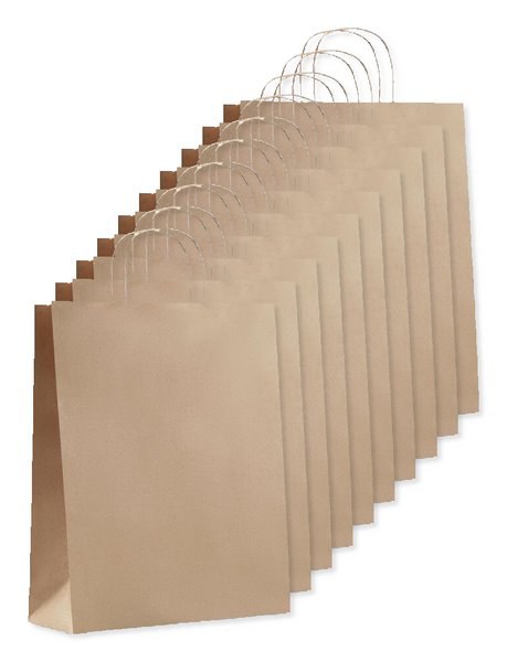 Pak van 10 GiftRetail MO6174 - PAPER TONE L Grote papieren geschenktas