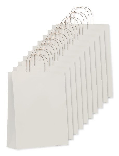 Pak van 100 GiftRetail MO6174 - PAPER TONE L Grote papieren geschenktas