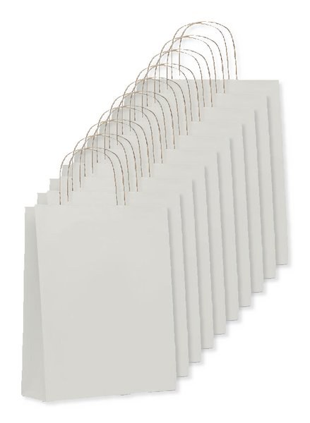Pak van 10 GiftRetail MO6173 - PAPER TONE M Medium papieren geschenktas