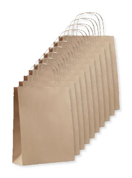 Pak van 10 GiftRetail MO6172 - PAPER TONE S Milieuvriendelijke Kleine Kraft Papieren Draagtas