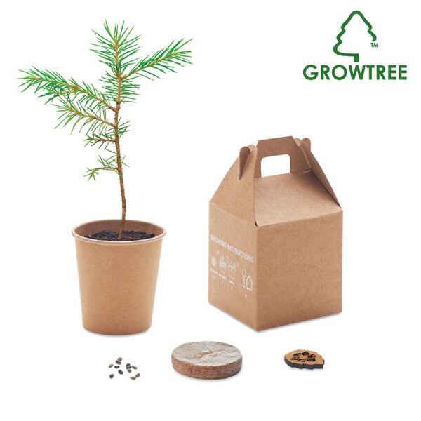 GROWTREE™ Pijnboom set - GiftRetail MO6228