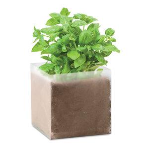 BASIL Eco-Friendly Basil Seed Compost Kit - GiftRetail MO9545
