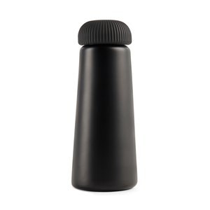 Vinga V4300 - VINGA Erie RCS steel vacuum bottle 450 ML